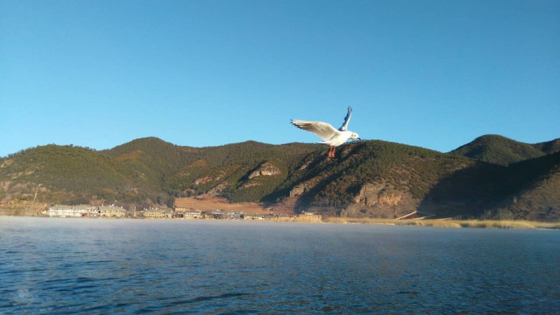 西昌瀘山邛海、知青博物館、摘草莓雙汽三日游